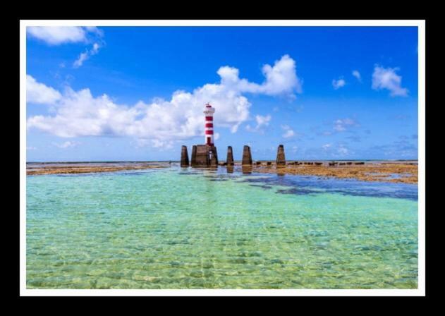 Apartamento Apto Alto Padrão Em Maceió